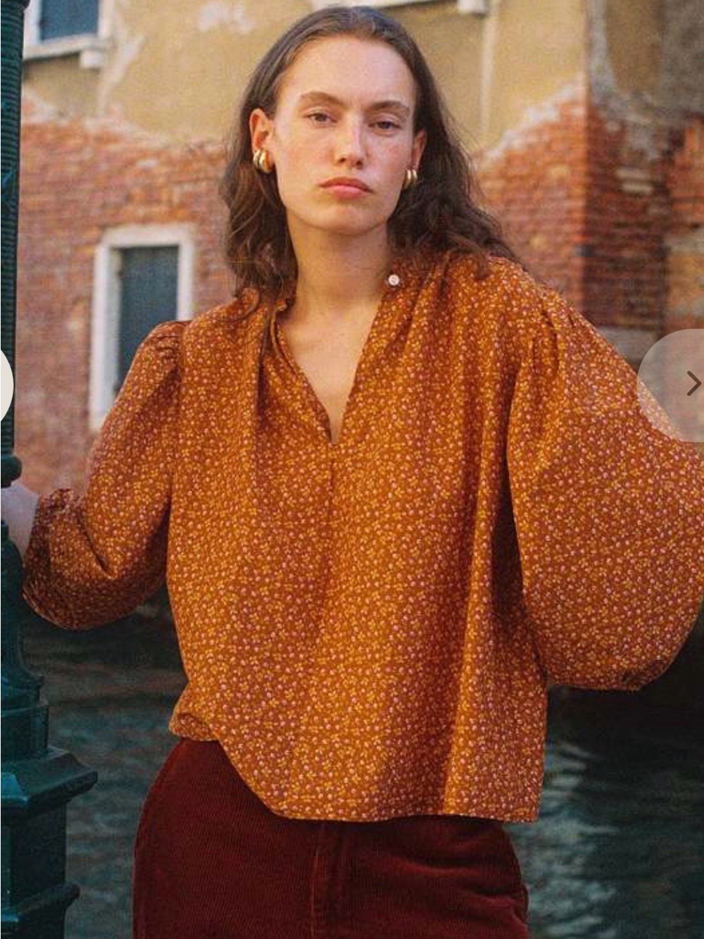 BNWT Trovata Birds of Paradis Orly Blouse Pecan Ditsy size XS $288 - Picture 3 of 8